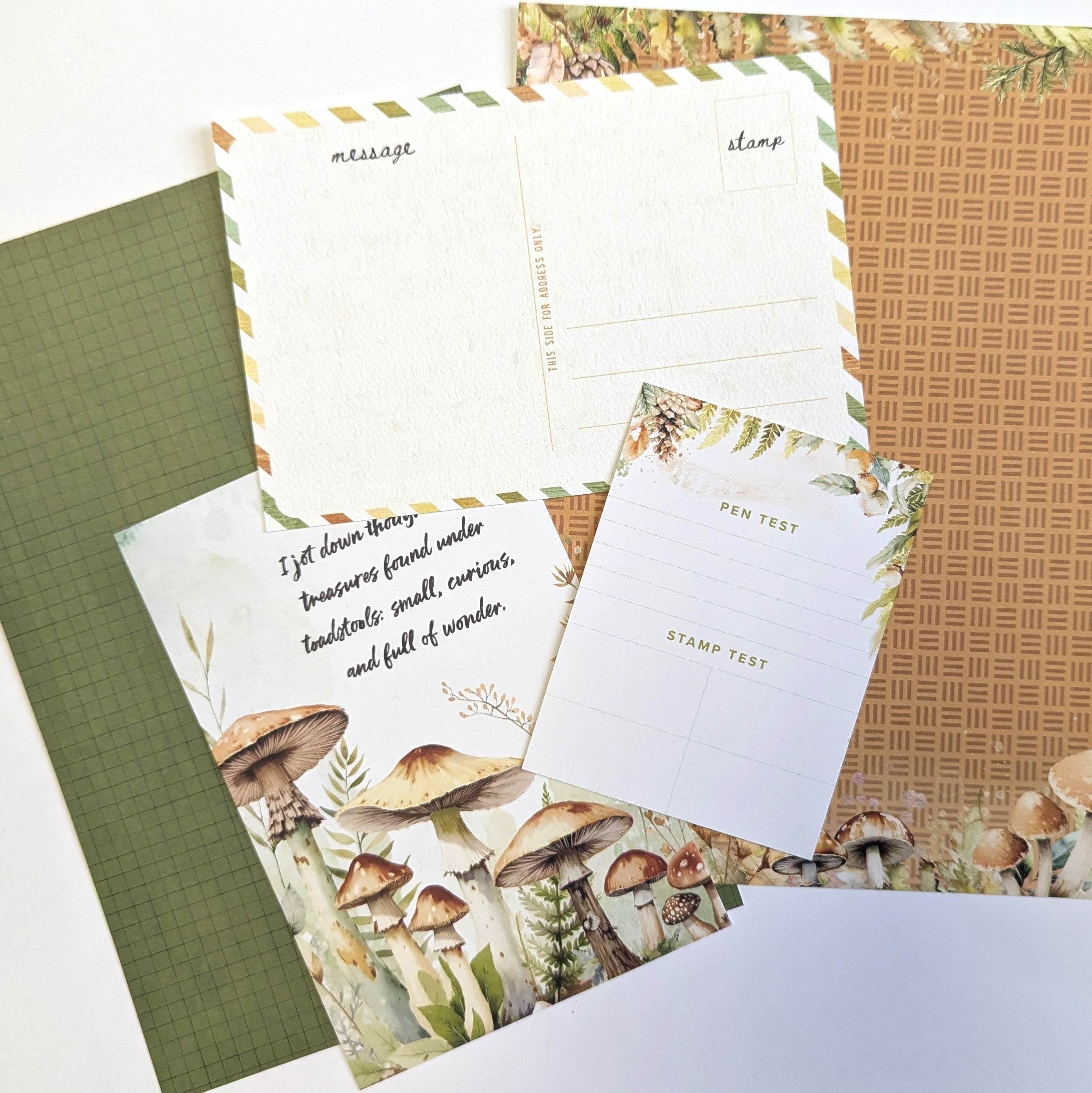 Moss & Mirth Set of 3 - Notecards  - November 2025