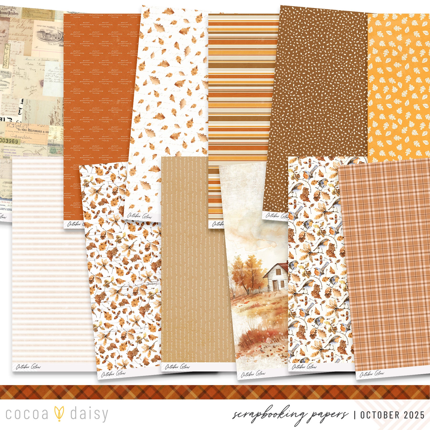 Papers-Scrap1-OCT25.jpg