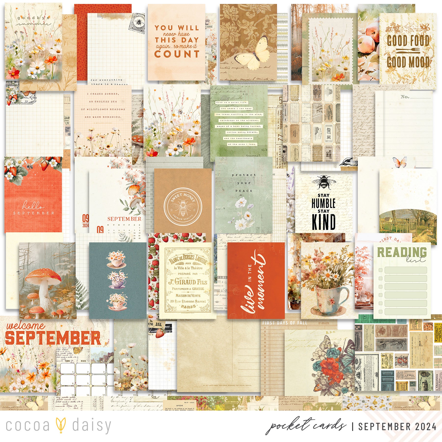 Little Bee Cottage Pocket Cards Only September 2024