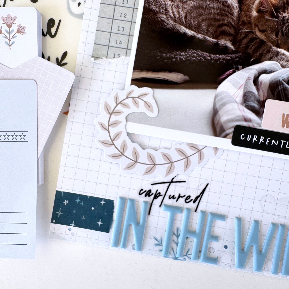 Scrapbooking Kit Subscription - Choose Your Add On - 1 month