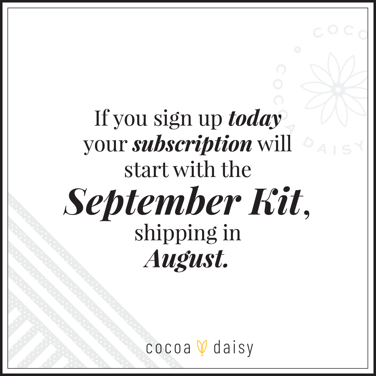 Memory Keeping Pocket Cards Subscription - 1 month