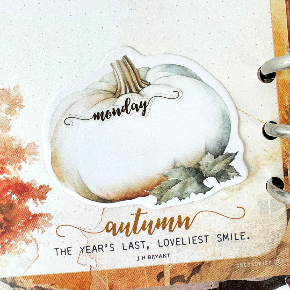 Cozy Season Stationery Kit October 2024