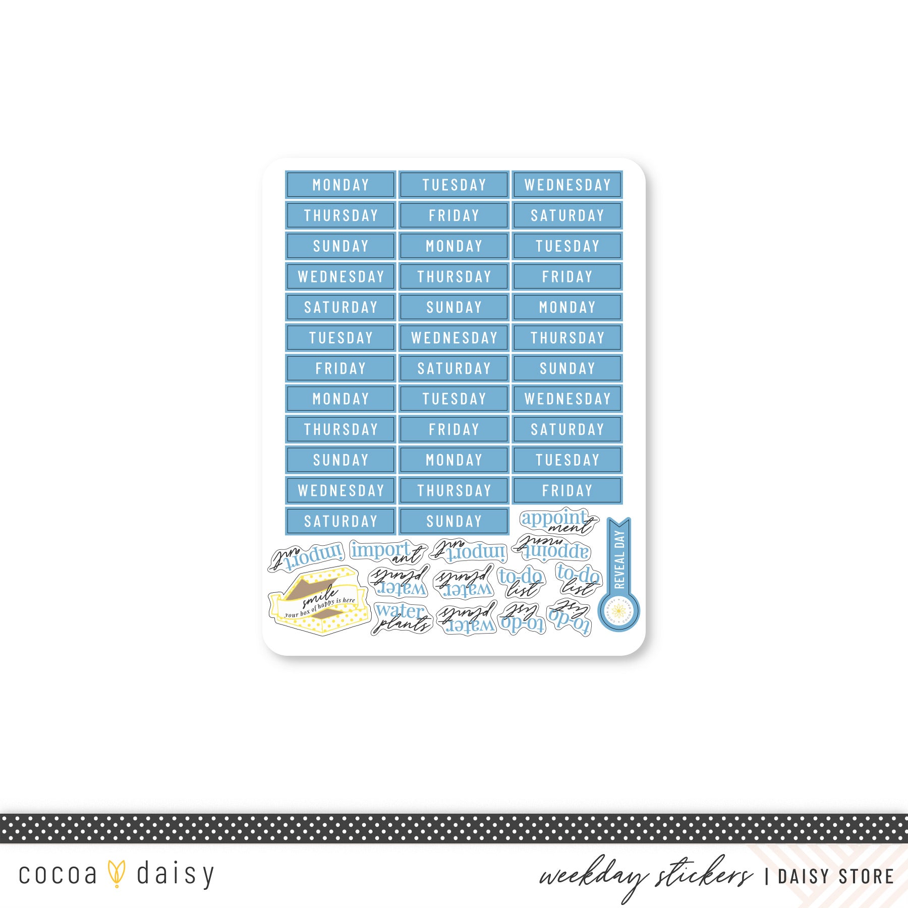 cd-eg-weekday-blu.jpg