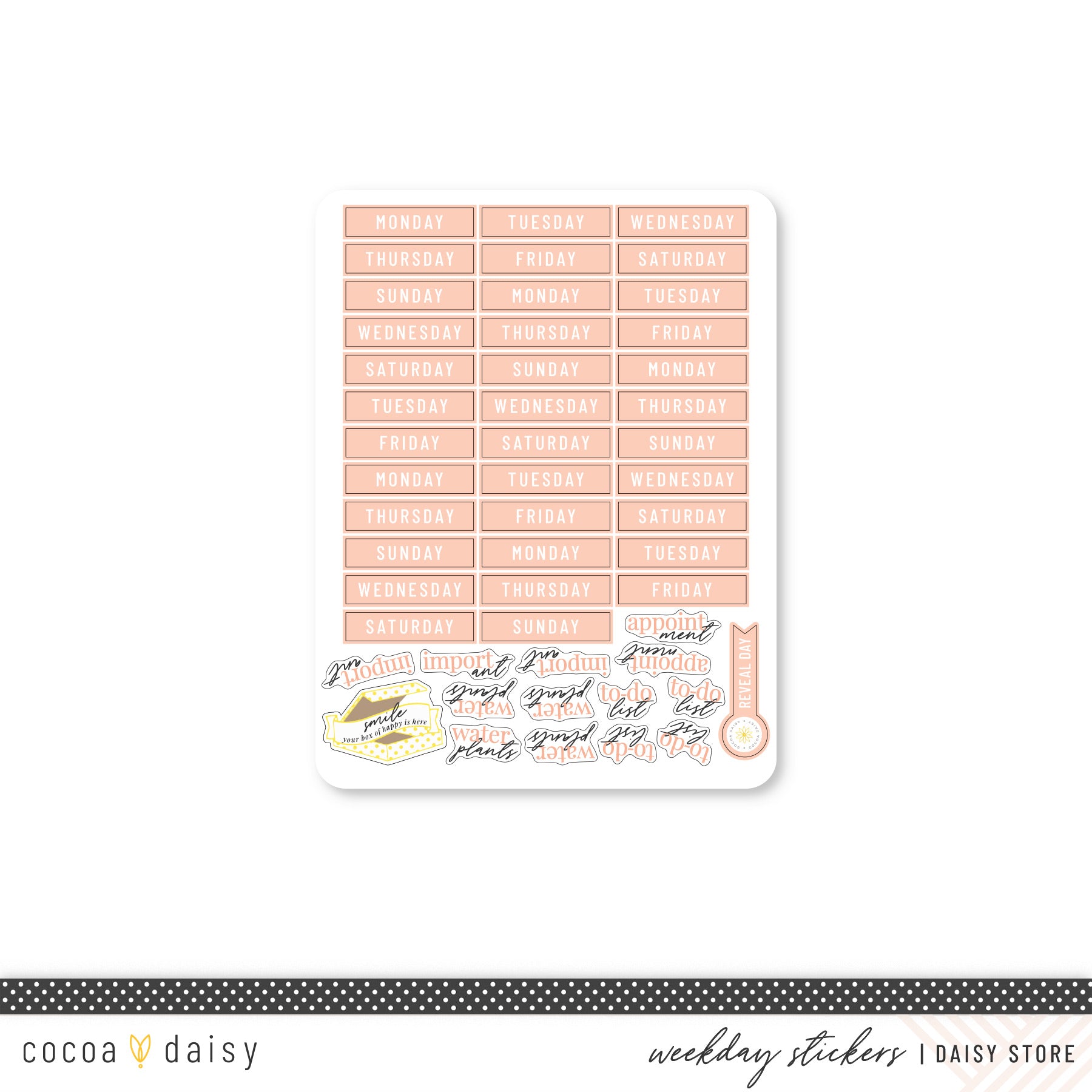 cd-eg-weekday-coral.jpg