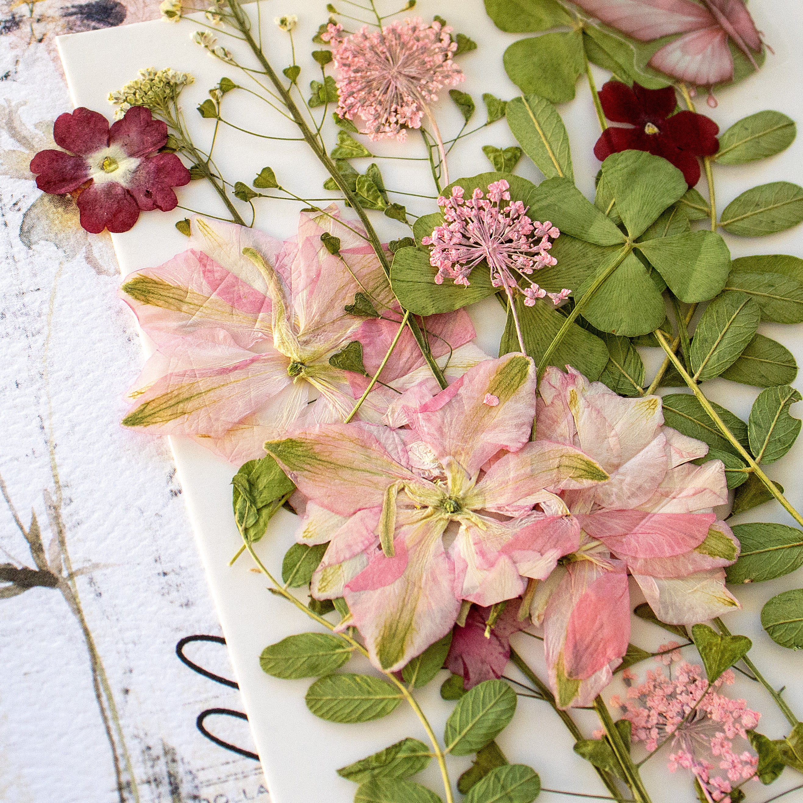 Creative Kit Subscription - 1 month