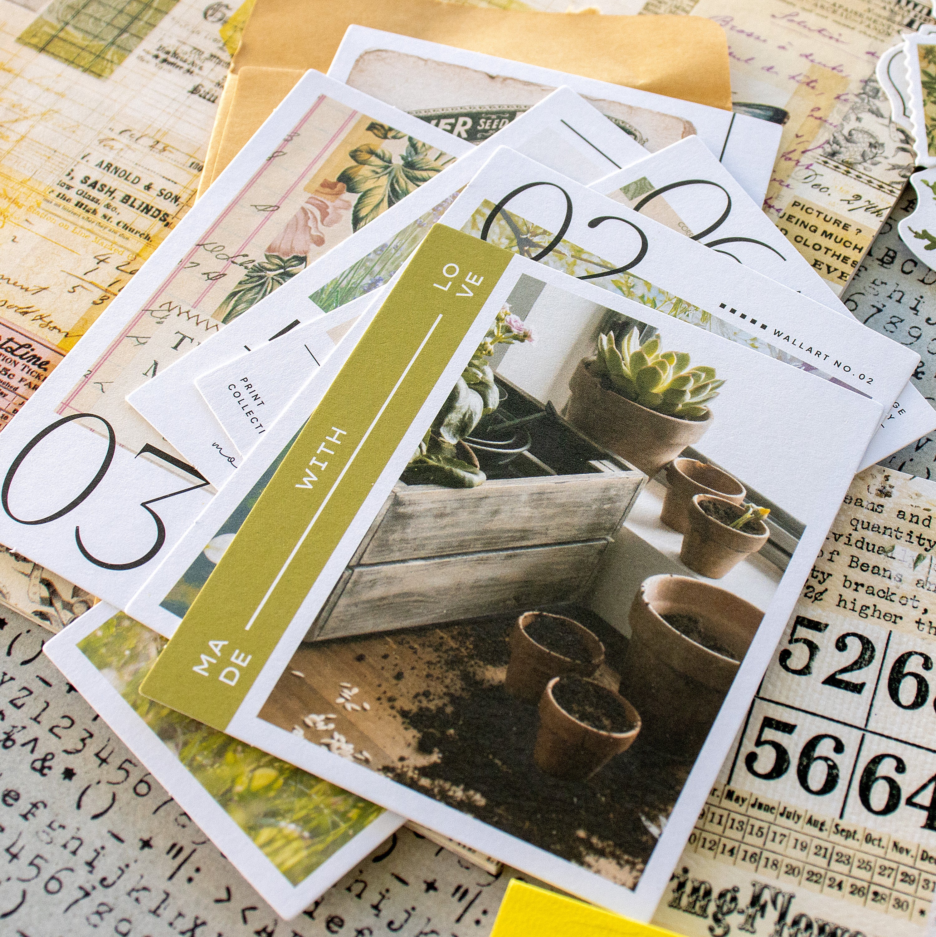 Creative Kit Subscription - 1 month