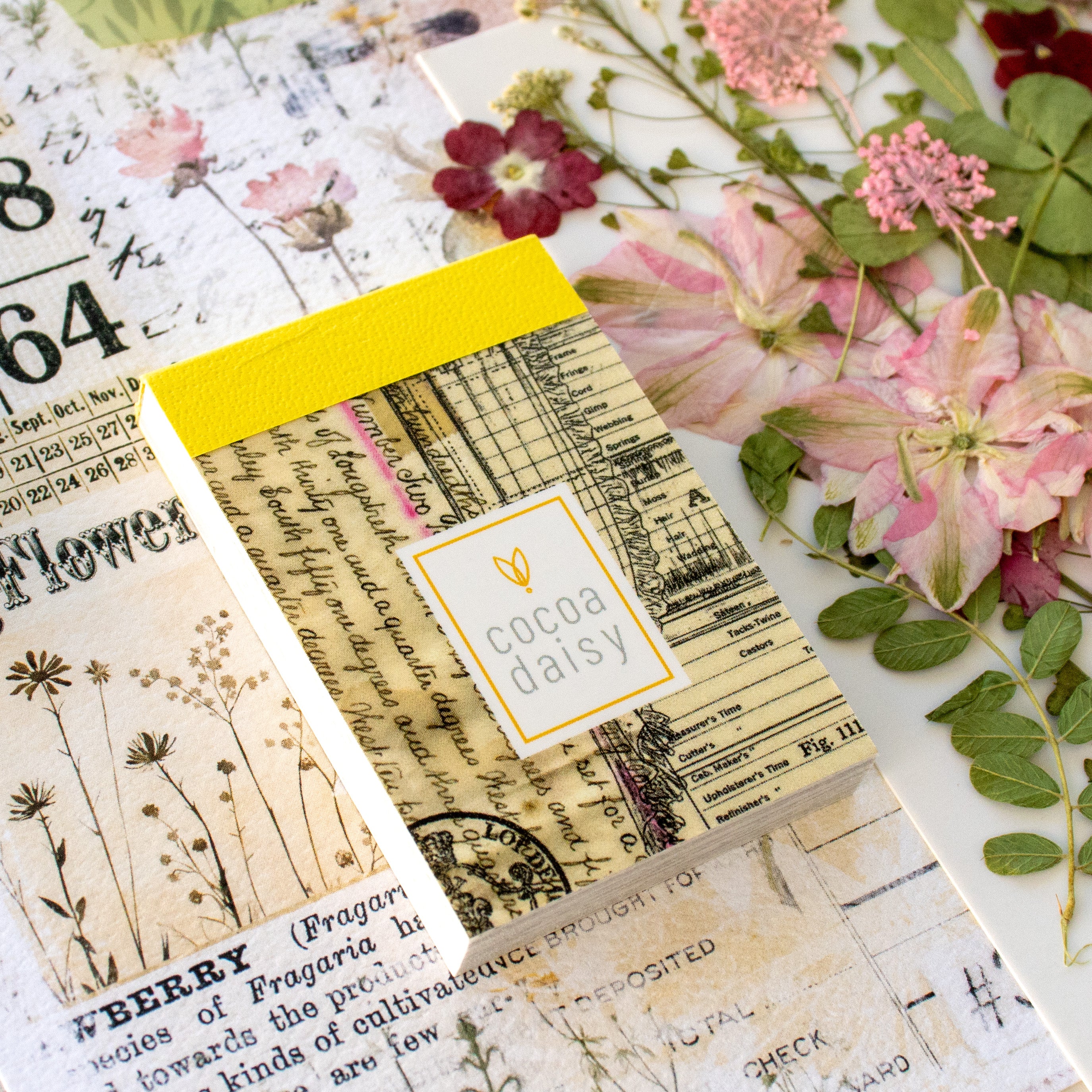 Creative Kit Subscription - 1 month