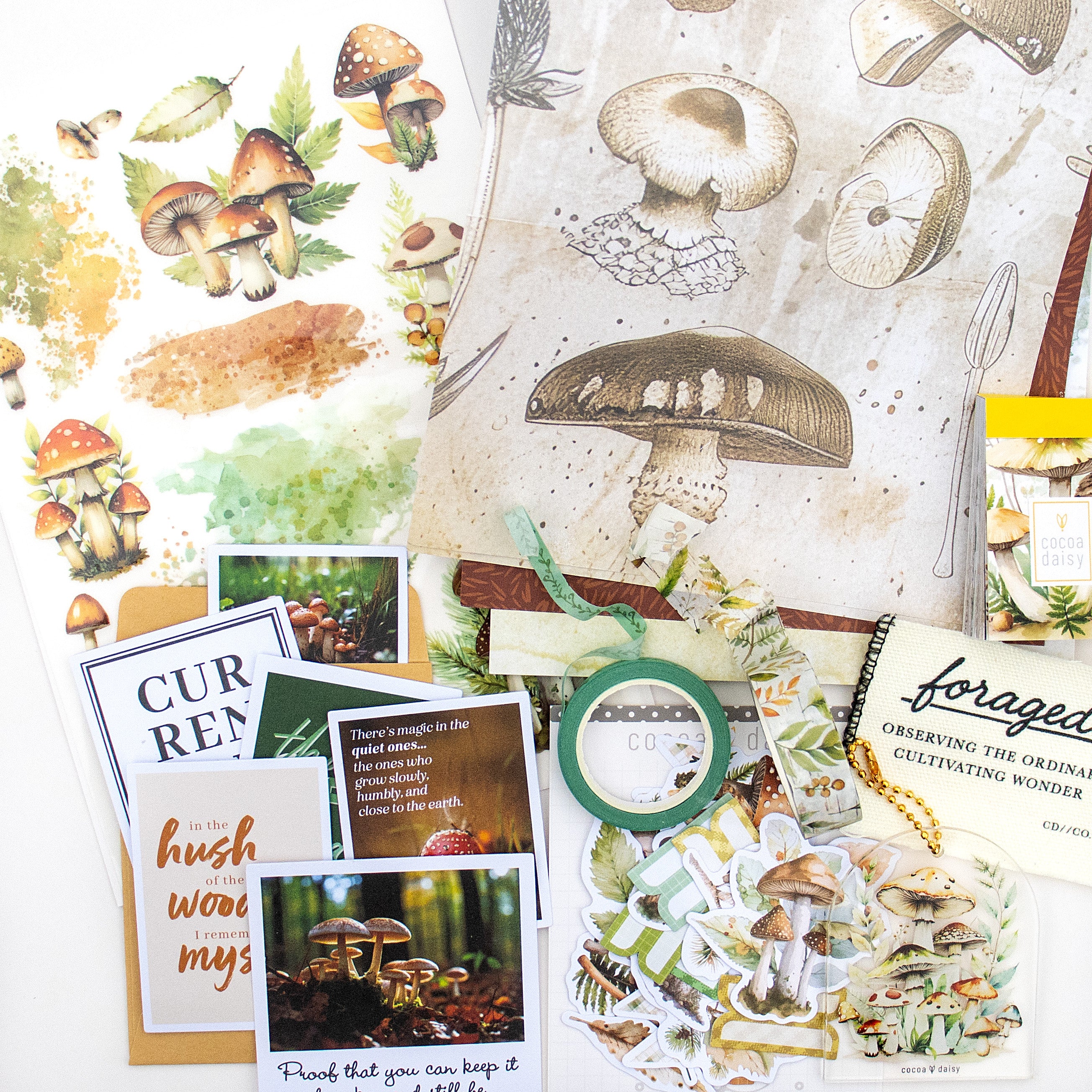 Creative Kit Subscription - 1 month