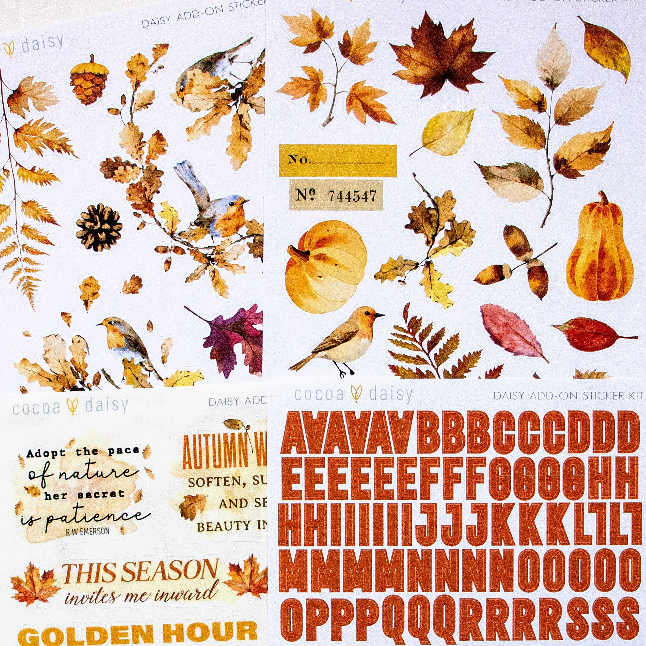 daisyaddonstickerkit_9cefb68f-ad86-488e-861b-f4c429648dab.jpg