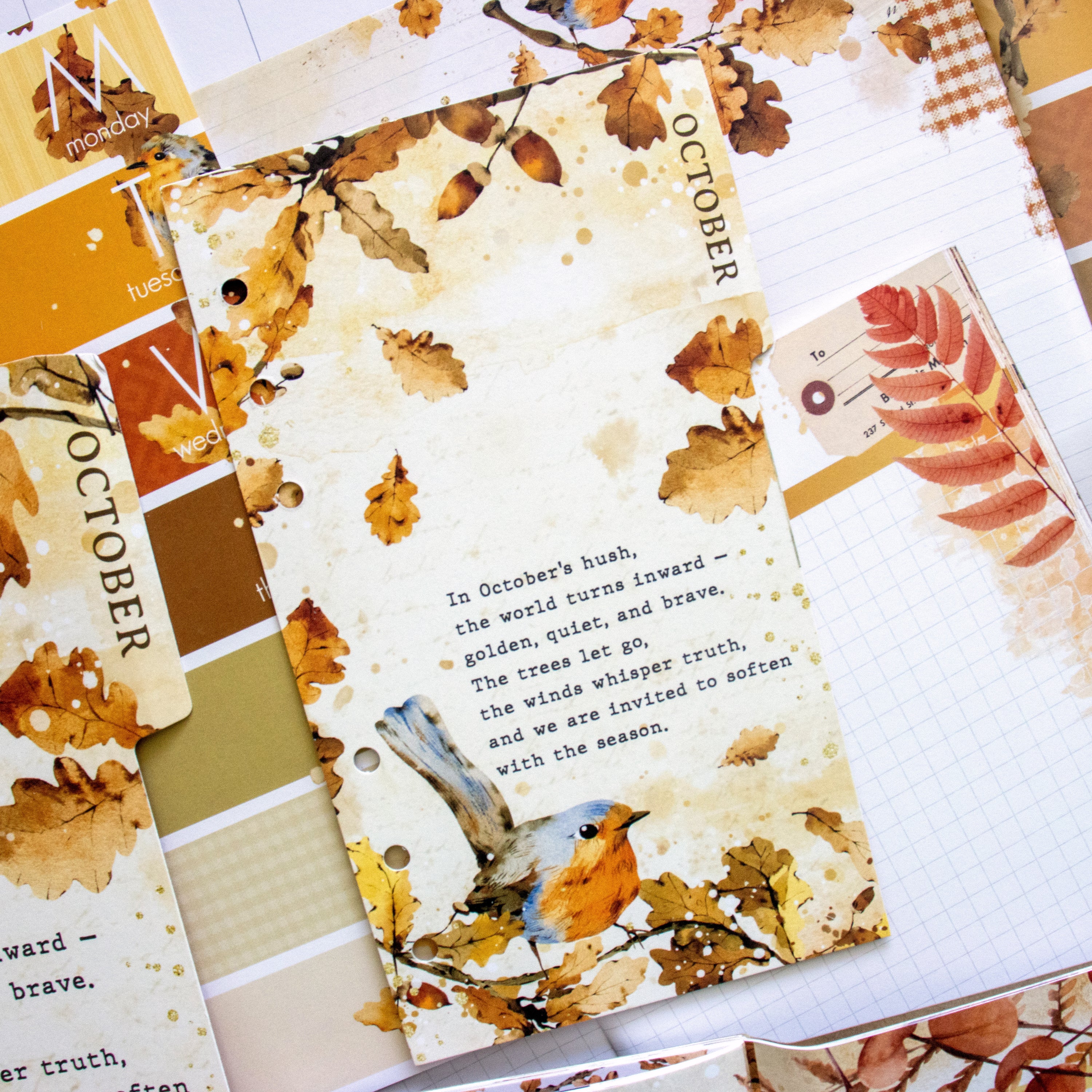 Insert or Notebook Only Subscription - Choose your size - 1 month