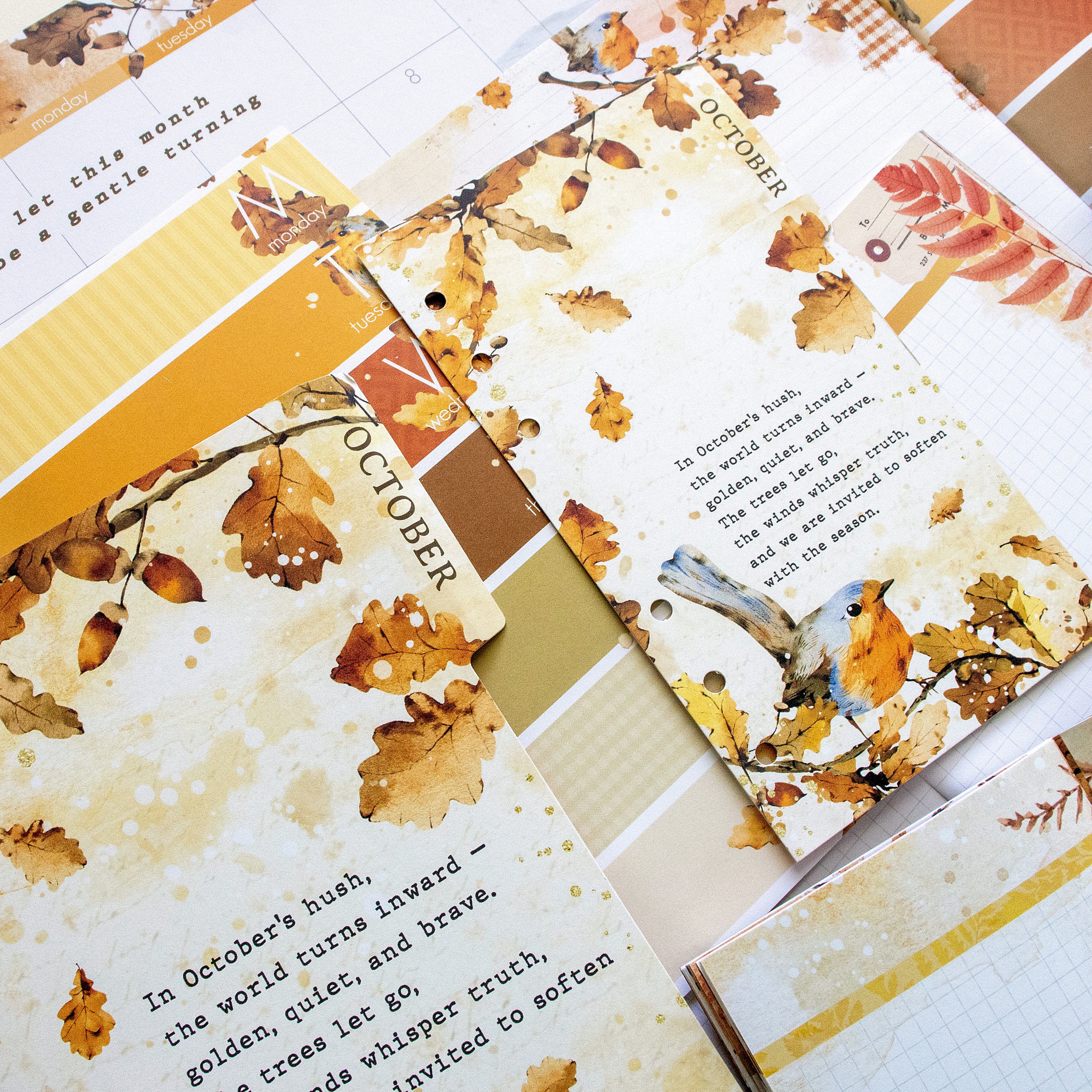 Insert or Notebook Only Subscription - Choose your size - 1 month