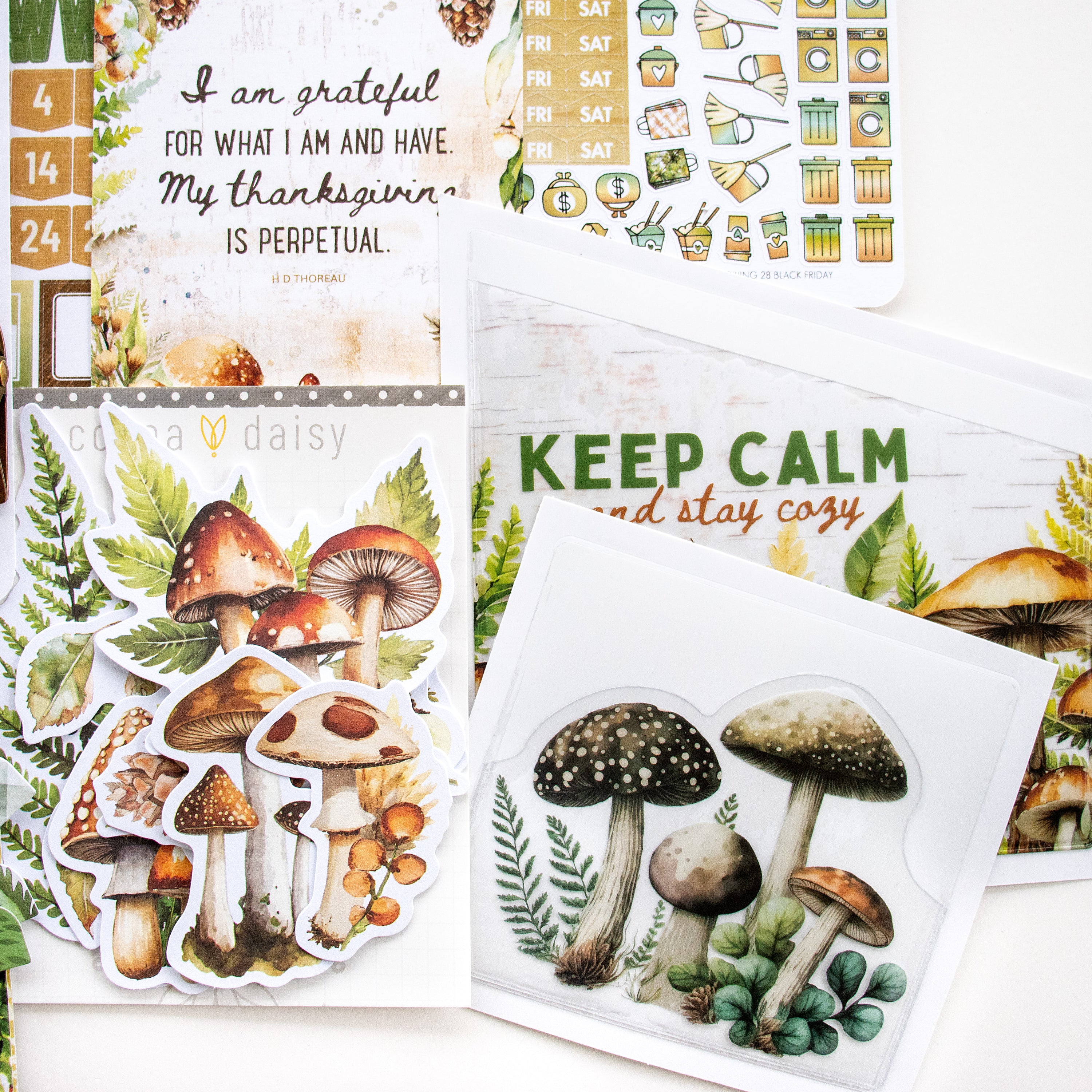 Planner Kit Subscription - Choose your insert or notebook - 1 month