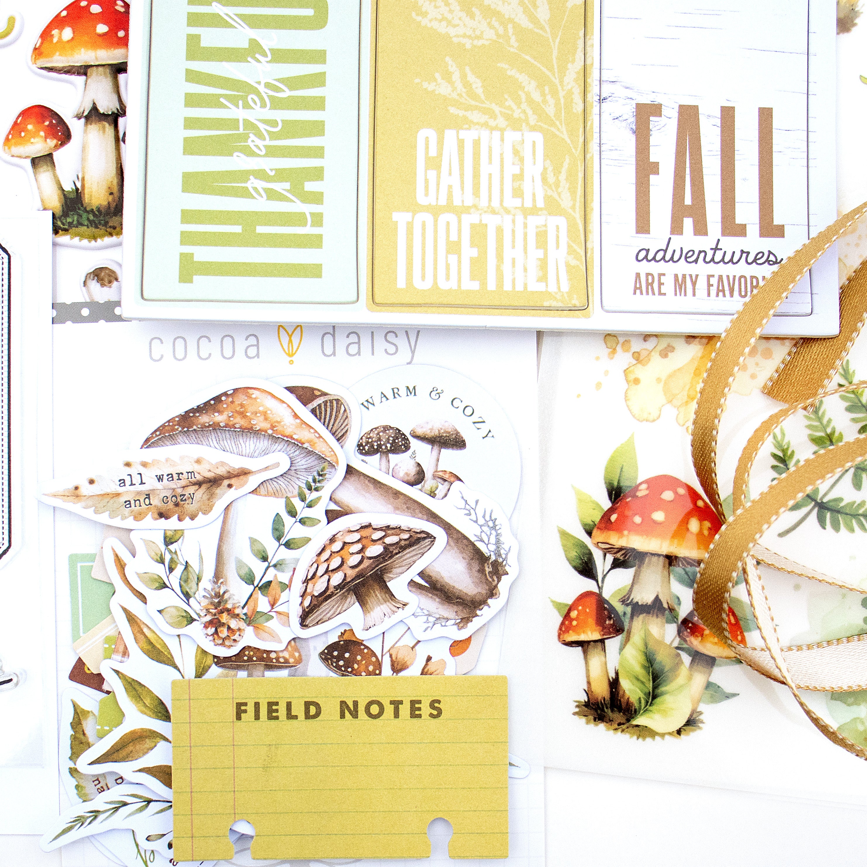 Scrapbooking Kit Subscription - No Add Ons - 1 month