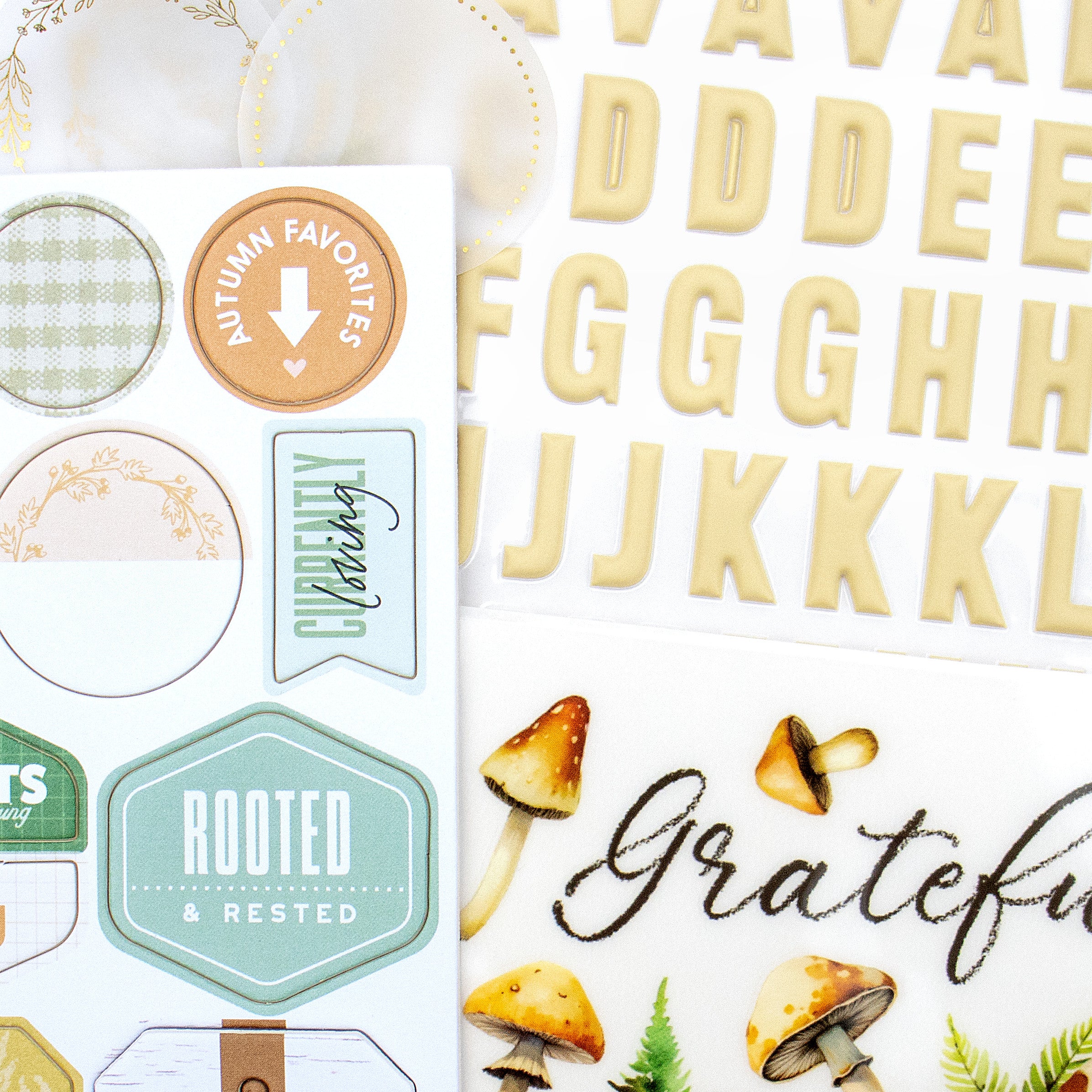 Scrapbooking Kit Subscription - No Add Ons - 1 month