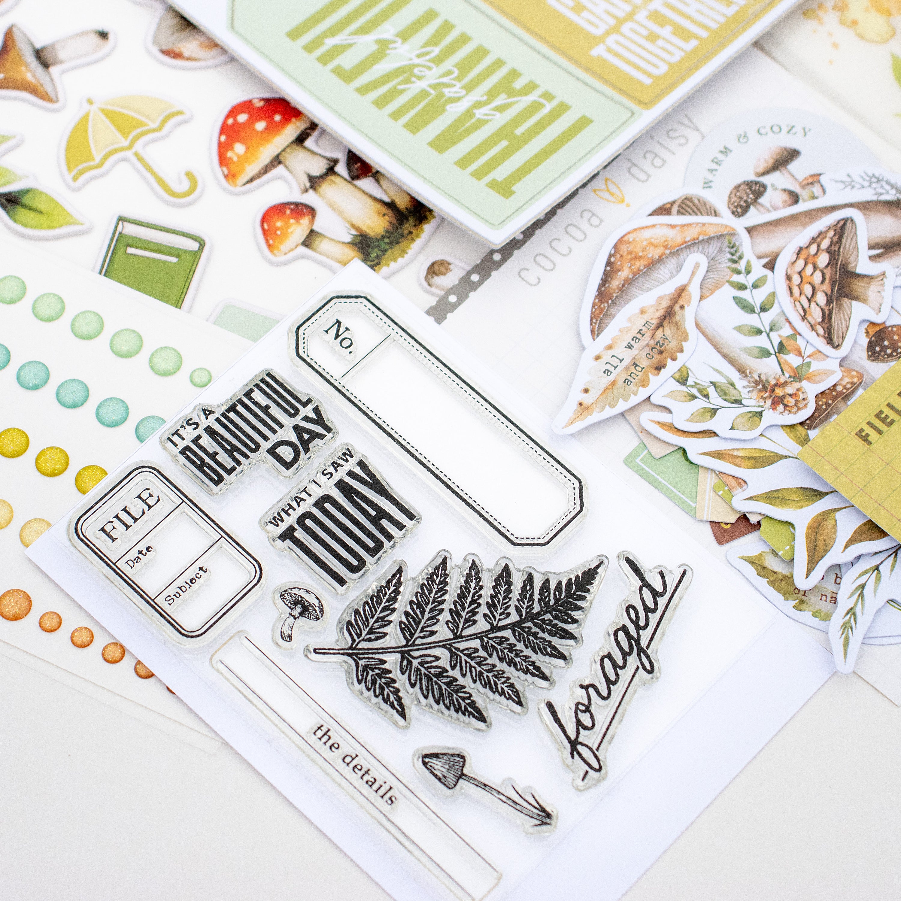 Scrapbooking Kit Subscription - No Add Ons - 1 month